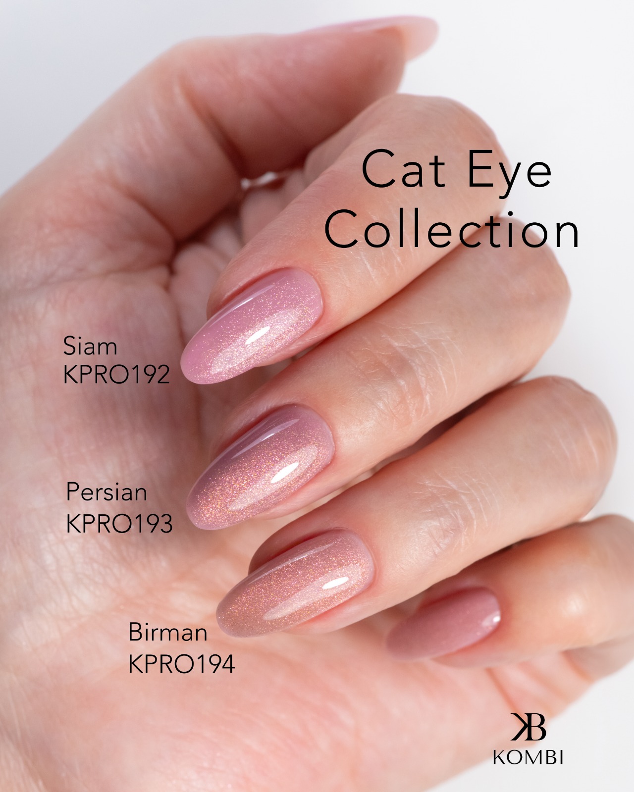Novit&agrave; Semipermanente Kombi KB Cat Eye Collection